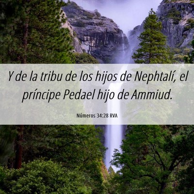 Picture 06 - Números 34:28 RVA - Y de la tribu de los hijos de Nephtalí, el - Bible Verse Picture