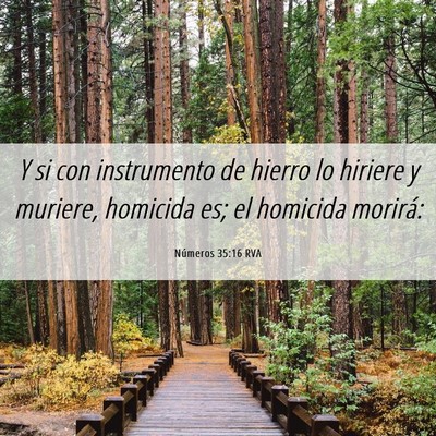 Picture 06 - Números 35:16 RVA - Y si con instrumento de hierro lo hiriere y - Bible Verse Picture