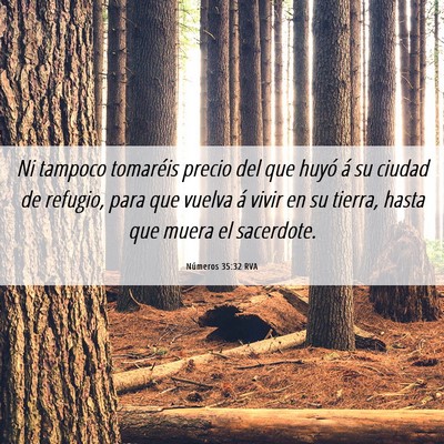 Picture 06 - Números 35:32 RVA - Ni tampoco tomaréis precio del que huyó á su - Bible Verse Picture