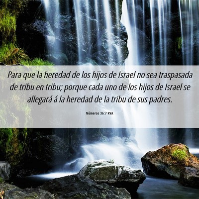 Picture 06 - Números 36:7 RVA - Para que la heredad de los hijos de Israel no sea - Bible Verse Picture