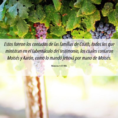 Picture 06 - Números 4:37 RVA - Estos fueron los contados de las familias de - Bible Verse Picture