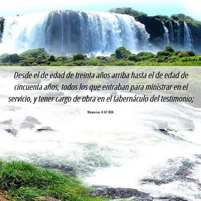 Picture 06 - Números 4:47 RVA - Desde el de edad de treinta años arriba hasta el - Bible Verse Picture