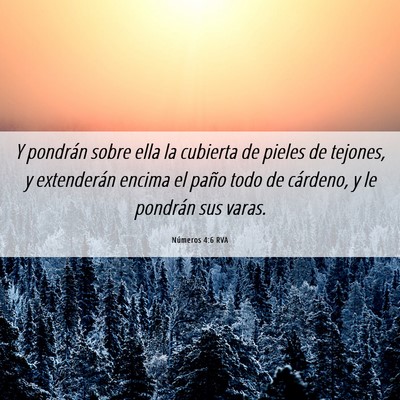 Picture 06 - Números 4:6 RVA - Y pondrán sobre ella la cubierta de pieles de - Bible Verse Picture
