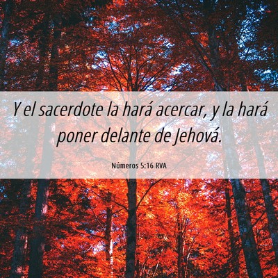 Picture 06 - Números 5:16 RVA - Y el sacerdote la hará acercar, y la hará poner - Bible Verse Picture