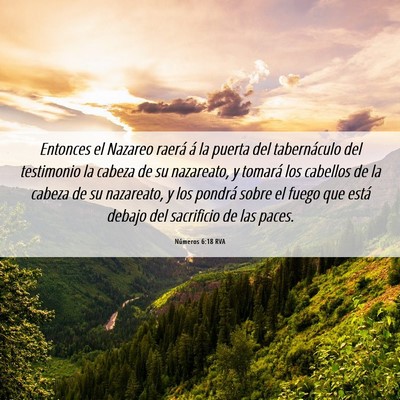 Picture 06 - Números 6:18 RVA - Entonces el Nazareo raerá á la puerta del - Bible Verse Picture