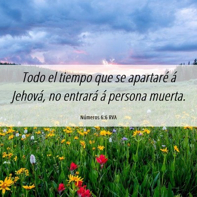 Picture 06 - Números 6:6 RVA - Todo el tiempo que se apartaré á Jehová, no - Bible Verse Picture