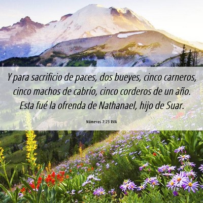 Picture 06 - Números 7:23 RVA - Y para sacrificio de paces, dos bueyes, cinco - Bible Verse Picture