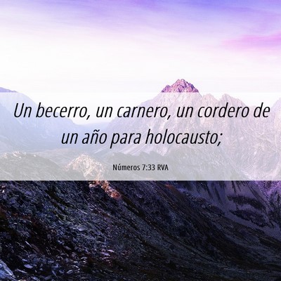Picture 06 - Números 7:33 RVA - Un becerro, un carnero, un cordero de un año - Bible Verse Picture