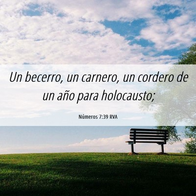 Picture 06 - Números 7:39 RVA - Un becerro, un carnero, un cordero de un año - Bible Verse Picture