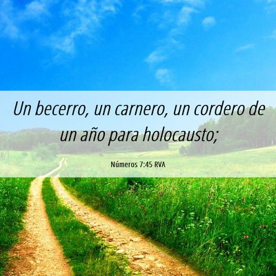 Picture 06 - Números 7:45 RVA - Un becerro, un carnero, un cordero de un año - Bible Verse Picture