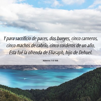 Picture 06 - Números 7:47 RVA - Y para sacrificio de paces, dos bueyes, cinco - Bible Verse Picture