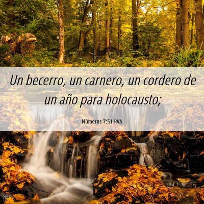 Picture 06 - Números 7:51 RVA - Un becerro, un carnero, un cordero de un año - Bible Verse Picture