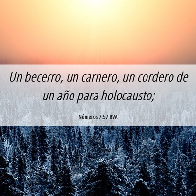 Picture 06 - Números 7:57 RVA - Un becerro, un carnero, un cordero de un año - Bible Verse Picture
