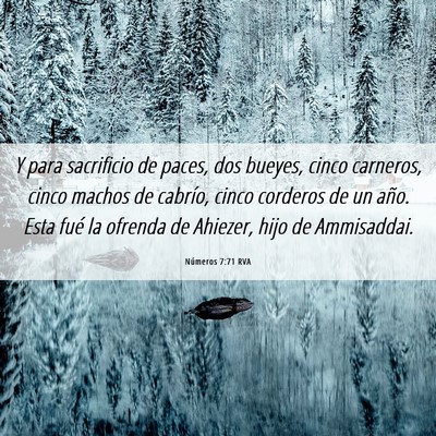 Picture 06 - Números 7:71 RVA - Y para sacrificio de paces, dos bueyes, cinco - Bible Verse Picture