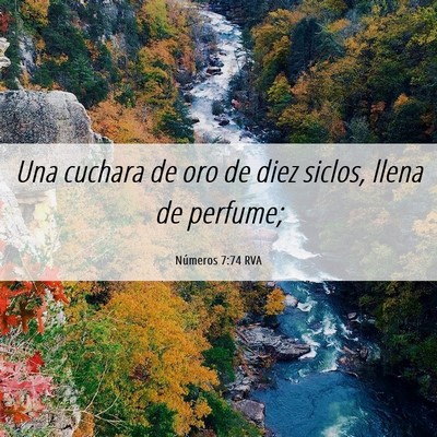 Picture 06 - Números 7:74 RVA - Una cuchara de oro de diez siclos, llena de - Bible Verse Picture