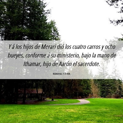 Picture 06 - Números 7:8 RVA - Y á los hijos de Merari dió los cuatro carros y - Bible Verse Picture