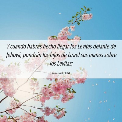 Picture 06 - Números 8:10 RVA - Y cuando habrás hecho llegar los Levitas delante - Bible Verse Picture