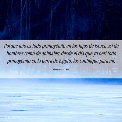 Picture 06 - Números 8:17 RVA - Porque mío es todo primogénito en los hijos de - Bible Verse Picture
