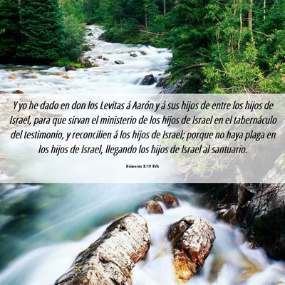 Picture 06 - Números 8:19 RVA - Y yo he dado en don los Levitas á Aarón y á - Bible Verse Picture
