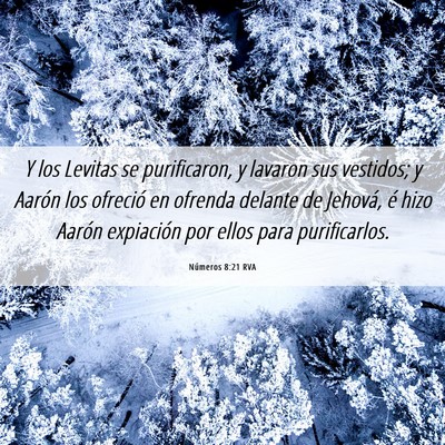 Picture 06 - Números 8:21 RVA - Y los Levitas se purificaron, y lavaron sus - Bible Verse Picture