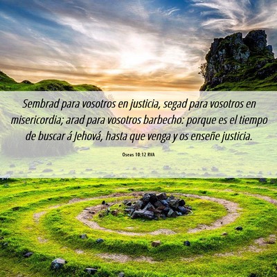Picture 06 - Oseas 10:12 RVA - Sembrad para vosotros en justicia, segad para - Bible Verse Picture