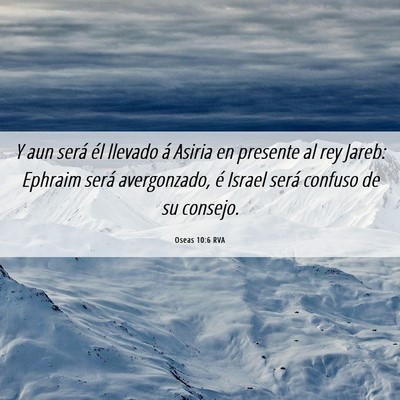 Picture 06 - Oseas 10:6 RVA - Y aun será él llevado á Asiria en presente al - Bible Verse Picture