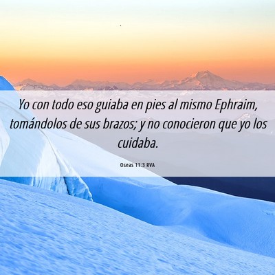 Picture 06 - Oseas 11:3 RVA - Yo con todo eso guiaba en pies al mismo Ephraim, - Bible Verse Picture