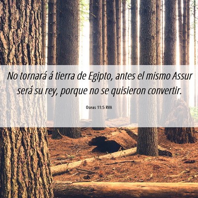 Picture 06 - Oseas 11:5 RVA - No tornará á tierra de Egipto, antes el mismo - Bible Verse Picture