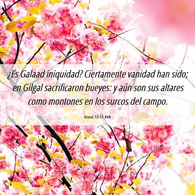 Picture 06 - Oseas 12:11 RVA - ¿Es Galaad iniquidad? Ciertamente vanidad han - Bible Verse Picture