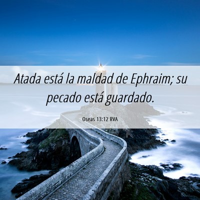 Picture 06 - Oseas 13:12 RVA - Atada está la maldad de Ephraim; su pecado está - Bible Verse Picture