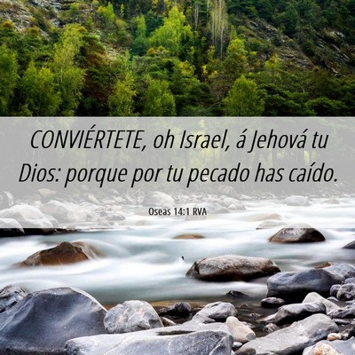 Picture 06 - Oseas 14:1 RVA - CONVIÉRTETE, oh Israel, á Jehová tu Dios: - Bible Verse Picture
