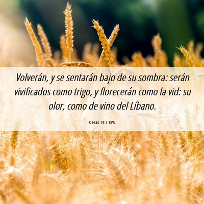 Picture 06 - Oseas 14:7 RVA - Volverán, y se sentarán bajo de su sombra: - Bible Verse Picture