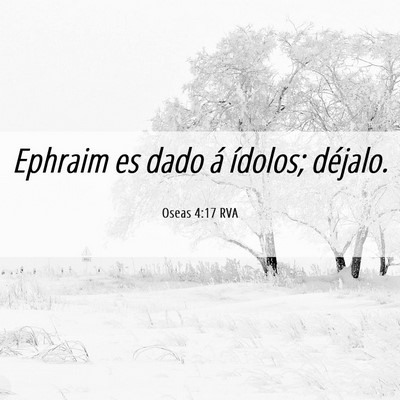 Picture 06 - Oseas 4:17 RVA - Ephraim es dado á ídolos; - Bible Verse Picture