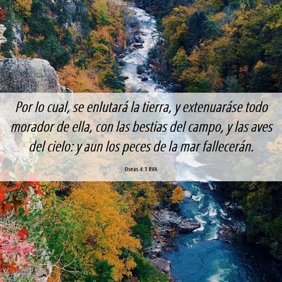 Picture 06 - Oseas 4:3 RVA - Por lo cual, se enlutará la tierra, y - Bible Verse Picture