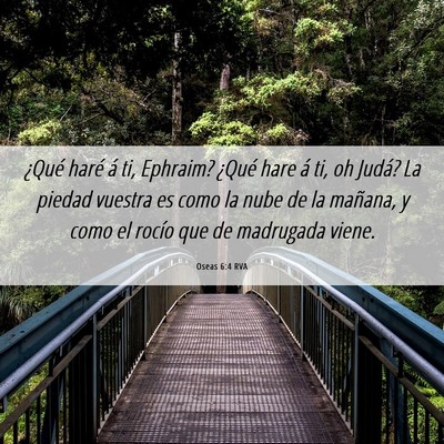 Picture 06 - Oseas 6:4 RVA - ¿Qué haré á ti, Ephraim? ¿Qué hare á ti, - Bible Verse Picture