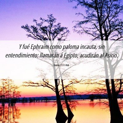 Picture 06 - Oseas 7:11 RVA - Y fué Ephraim como paloma incauta, sin - Bible Verse Picture