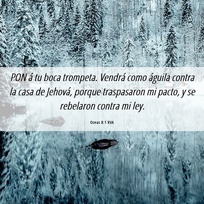 Picture 06 - Oseas 8:1 RVA - PON á tu boca trompeta. Vendrá como águila - Bible Verse Picture