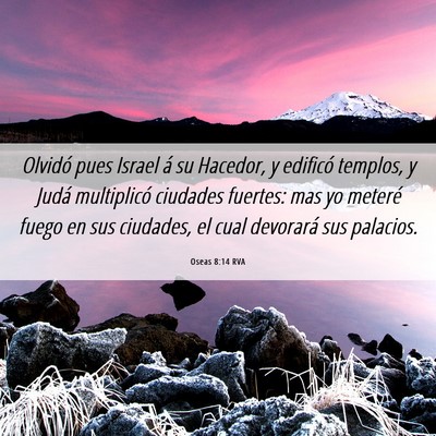 Picture 06 - Oseas 8:14 RVA - Olvidó pues Israel á su Hacedor, y edificó - Bible Verse Picture