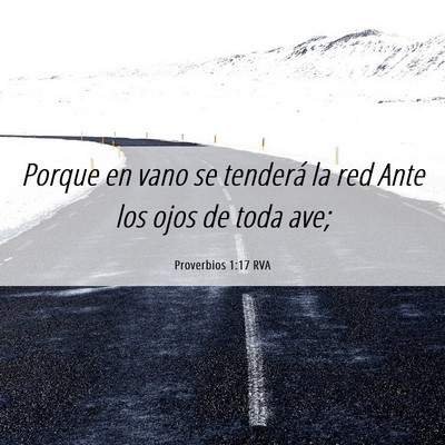 Picture 06 - Proverbios 1:17 RVA - Porque en vano se tenderá la red Ante los ojos - Bible Verse Picture