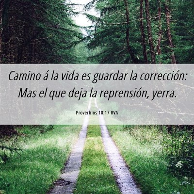 Picture 06 - Proverbios 10:17 RVA - Camino á la vida es guardar la corrección: Mas - Bible Verse Picture