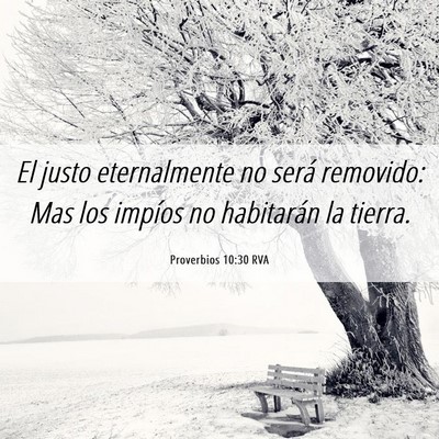Picture 06 - Proverbios 10:30 RVA - El justo eternalmente no será removido: Mas los - Bible Verse Picture