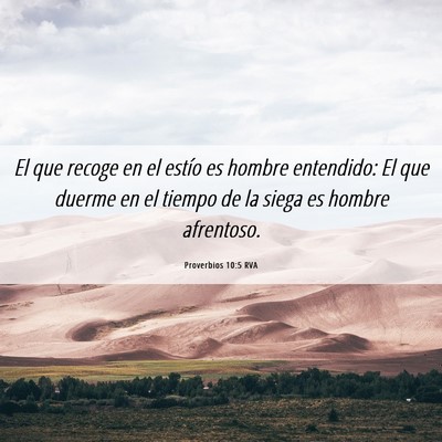 Picture 06 - Proverbios 10:5 RVA - El que recoge en el estío es hombre entendido: - Bible Verse Picture
