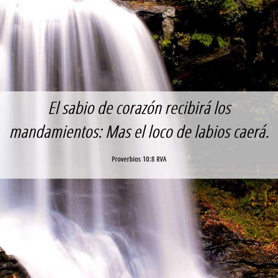 Picture 06 - Proverbios 10:8 RVA - El sabio de corazón recibirá los mandamientos: - Bible Verse Picture