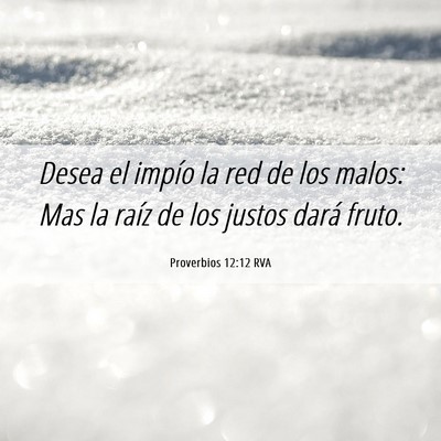Picture 06 - Proverbios 12:12 RVA - Desea el impío la red de los malos: Mas la raíz - Bible Verse Picture