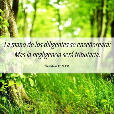 Picture 06 - Proverbios 12:24 RVA - La mano de los diligentes se enseñoreará: Mas - Bible Verse Picture