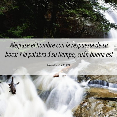 Picture 06 - Proverbios 15:23 RVA - Alégrase el hombre con la respuesta de su boca: - Bible Verse Picture