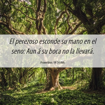 Picture 06 - Proverbios 19:24 RVA - El perezoso esconde su mano en el seno: Aun á su - Bible Verse Picture