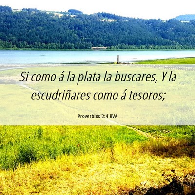 Picture 06 - Proverbios 2:4 RVA - Si como á la plata la buscares, Y la - Bible Verse Picture