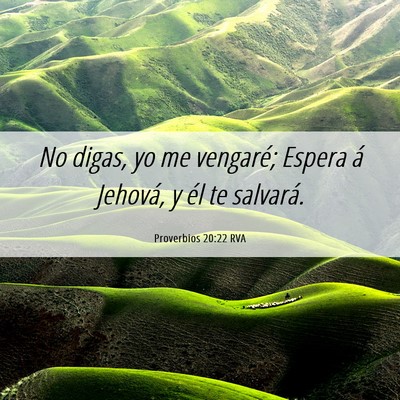 Picture 06 - Proverbios 20:22 RVA - No digas, yo me vengaré; Espera á Jehová, y - Bible Verse Picture