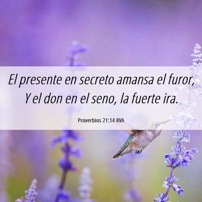 Picture 06 - Proverbios 21:14 RVA - El presente en secreto amansa el furor, Y el don - Bible Verse Picture